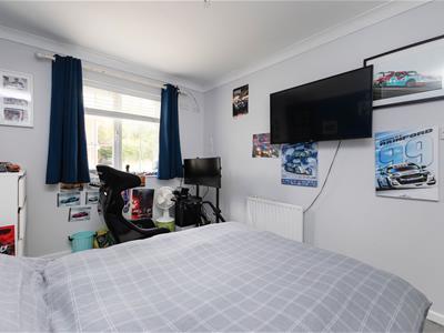 Picture 13